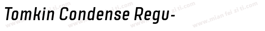 Tomkin Condense Regu字体转换